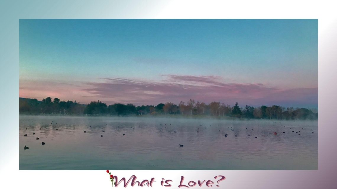 A misty lake at dawn with soft pink and blue skies above, ducks floating peacefully on the water, and trees silhouetted in the distance.