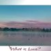 A misty lake at dawn with soft pink and blue skies above, ducks floating peacefully on the water, and trees silhouetted in the distance.