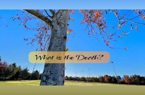 A tall tree with bare branches and a few autumn leaves stands against a bright blue sky, with a grassy park and trees in the background. The text overlay reads, “What is the Death?”
