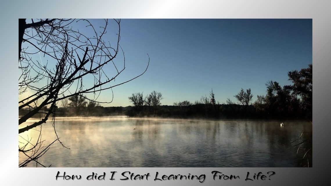 Morning mist rises gently over a calm river, with bare tree branches framing the scene and sunlight glowing on the water.