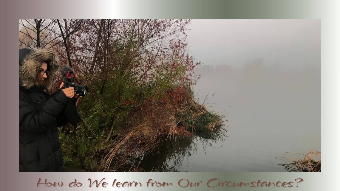 A person in a hooded winter coat holds a camera, standing near autumn-colored bushes by a misty lake, capturing the stillness of nature.