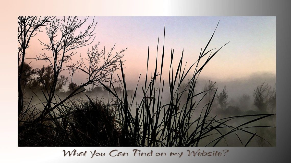 Silhouetted branches and tall grass stand against a misty dawn sky painted in soft shades of pink, blue, and grey.