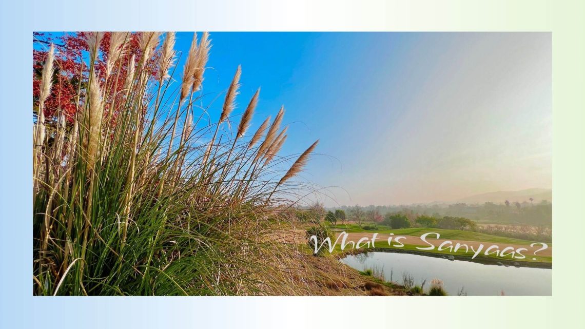 Golden reeds and tall grasses sway under a bright blue sky, with a calm pond reflecting the landscape in the distance. The text on the image reads: “What is Sanyaas?”