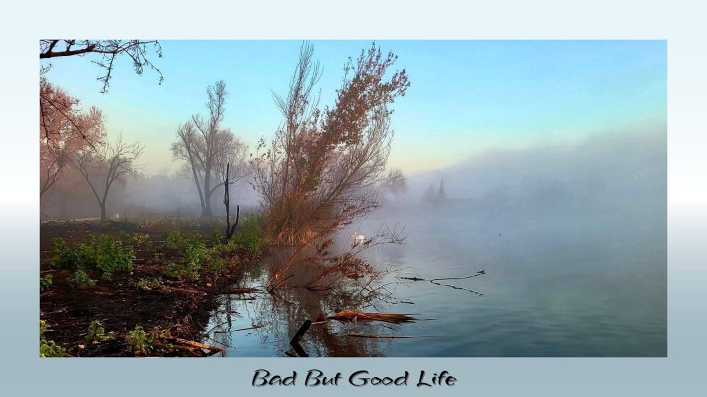 “Misty morning by a quiet lake with leaning trees, soft fog, and a white bird standing in the water, symbolizing the paradox of a life that is both bad and good.”
