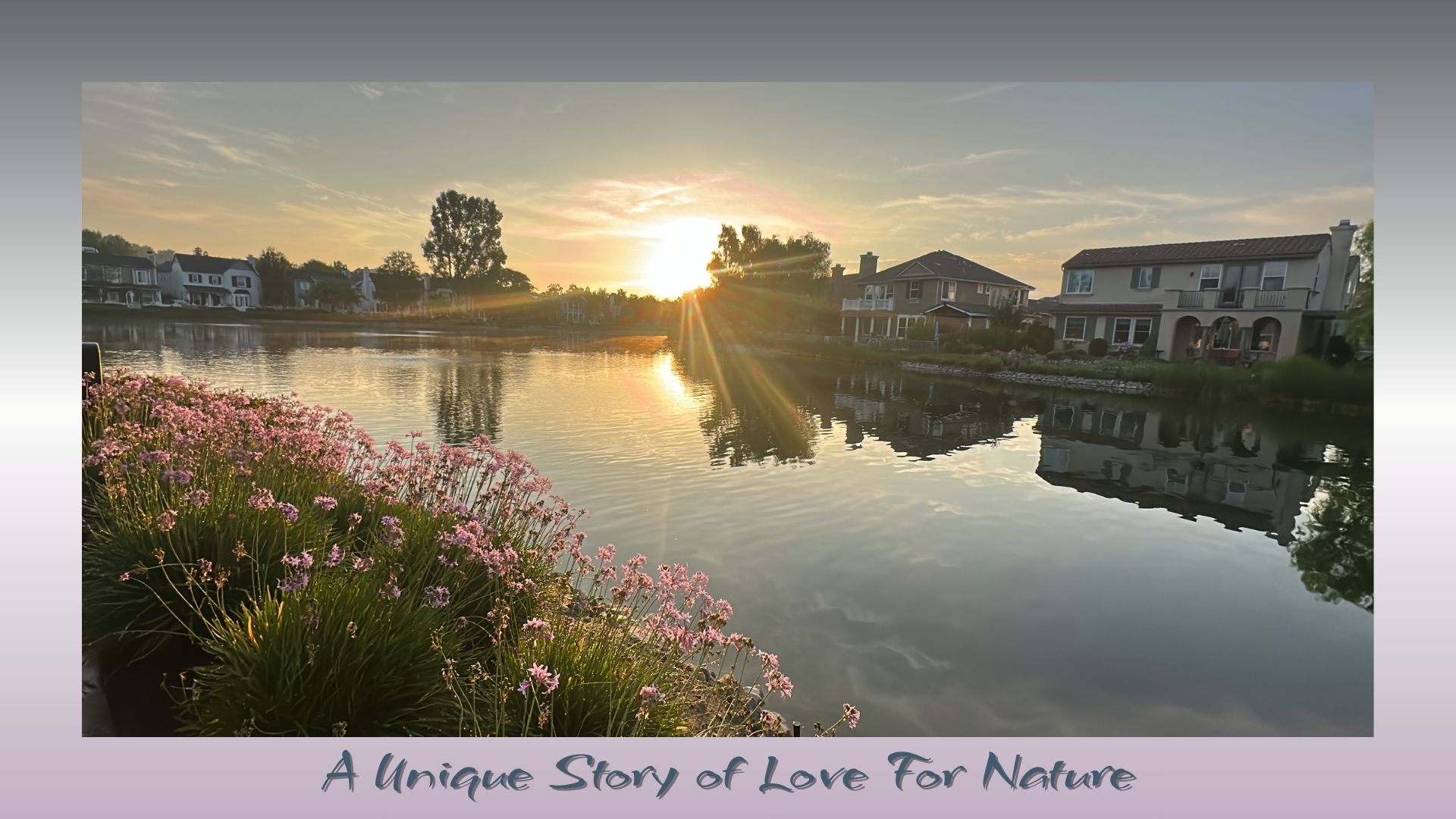 “Sunset over a lakeside neighborhood with blooming flowers, showing the beauty of love for nature.”