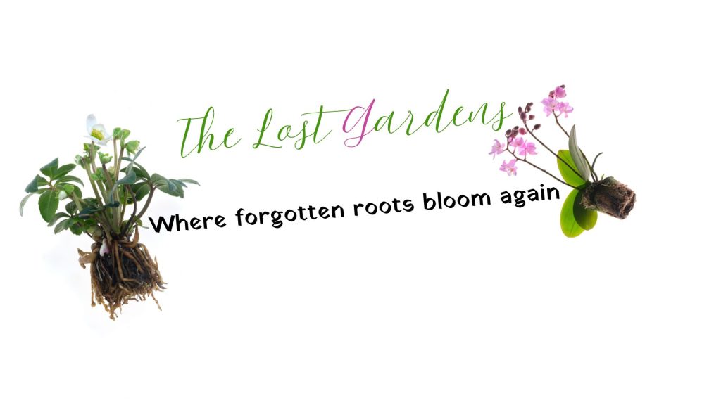 The lost gardens (4)